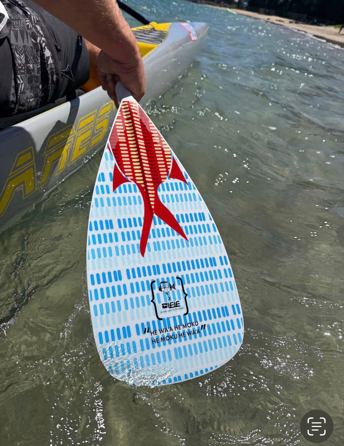 red fish tail with blue stripes on a white paddle